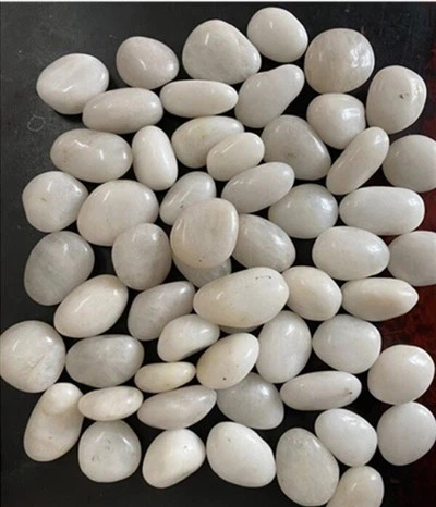 Sỏi trắng đánh bóng